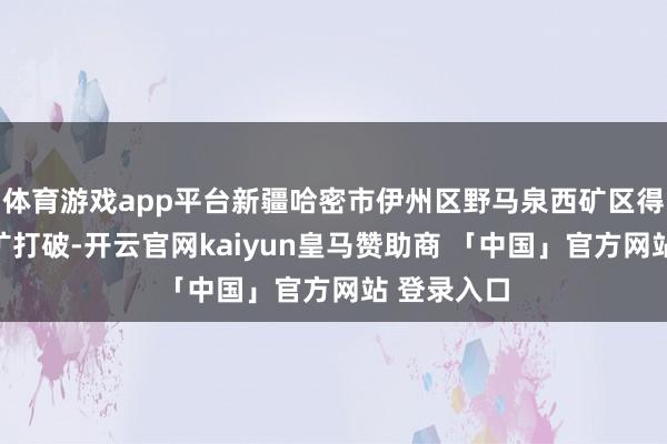 体育游戏app平台新疆哈密市伊州区野马泉西矿区得到金矿找矿打破-开云官网kaiyun皇马赞助商 「中国」官方网站 登录入口