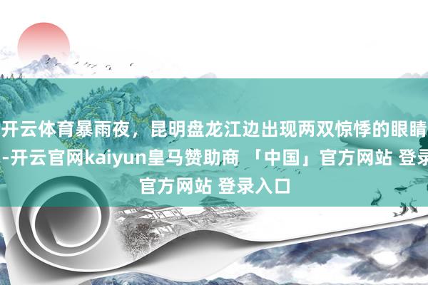 开云体育暴雨夜，昆明盘龙江边出现两双惊悸的眼睛……-开云官网kaiyun皇马赞助商 「中国」官方网站 登录入口