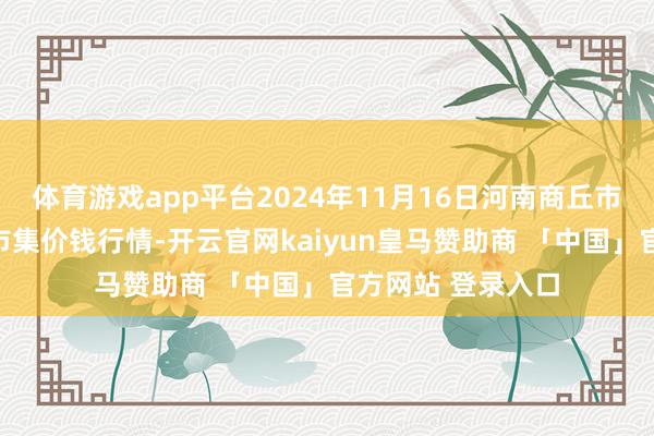 体育游戏app平台2024年11月16日河南商丘市农家具中心批发市集价钱行情-开云官网kaiyun皇马赞助商 「中国」官方网站 登录入口