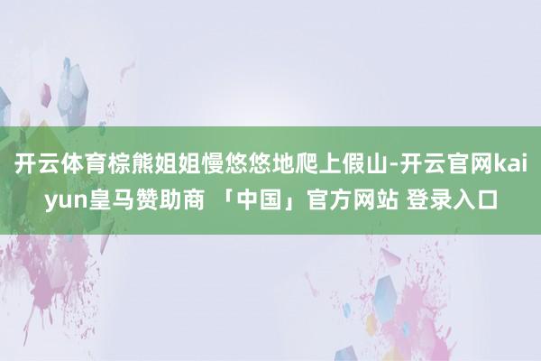 开云体育棕熊姐姐慢悠悠地爬上假山-开云官网kaiyun皇马赞助商 「中国」官方网站 登录入口