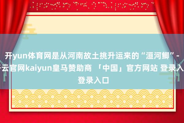 开yun体育网是从河南故土挑升运来的“洹河鲫”-开云官网kaiyun皇马赞助商 「中国」官方网站 登录入口