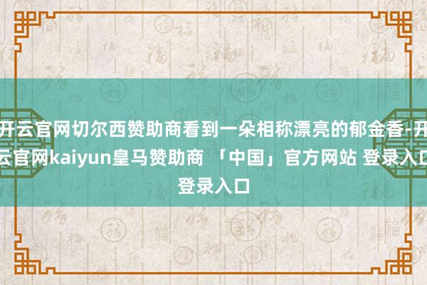 开云官网切尔西赞助商看到一朵相称漂亮的郁金香-开云官网kaiyun皇马赞助商 「中国」官方网站 登录入口